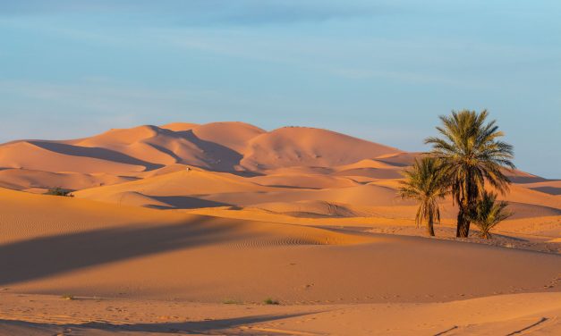 Pourquoi faire un circuit dans le désert marocain ?