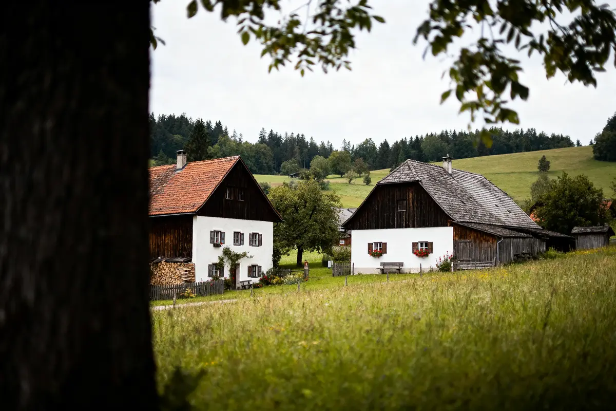 Deux maisons rurales blanches entourées de verdure et d'arbres, prairie en avant-plan, forêt en arrière-plan.