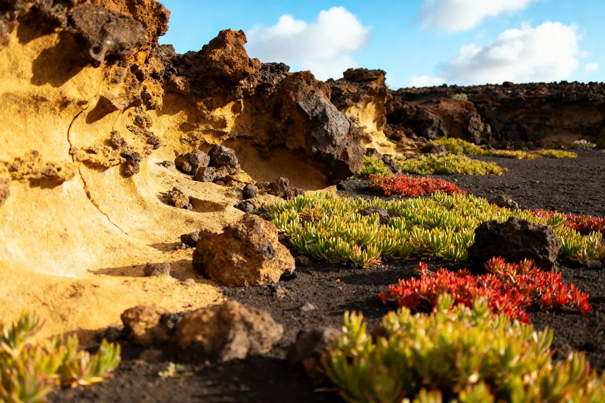 Paysage rocheux volcanique avec végétation colorée et ciel bleu parsemé de nuages.