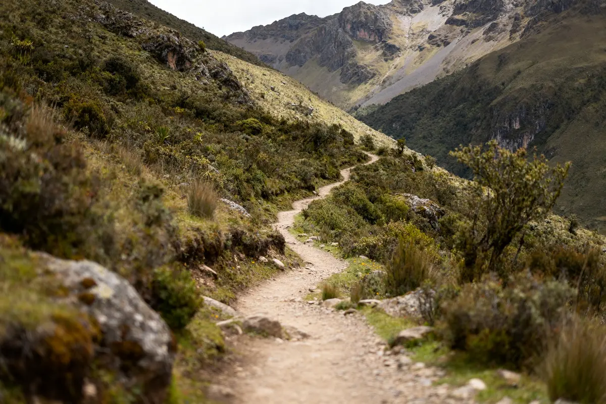 Sentier de montagne sinueux dans un paysage irquis verdoyant avec collines en arrière-plan