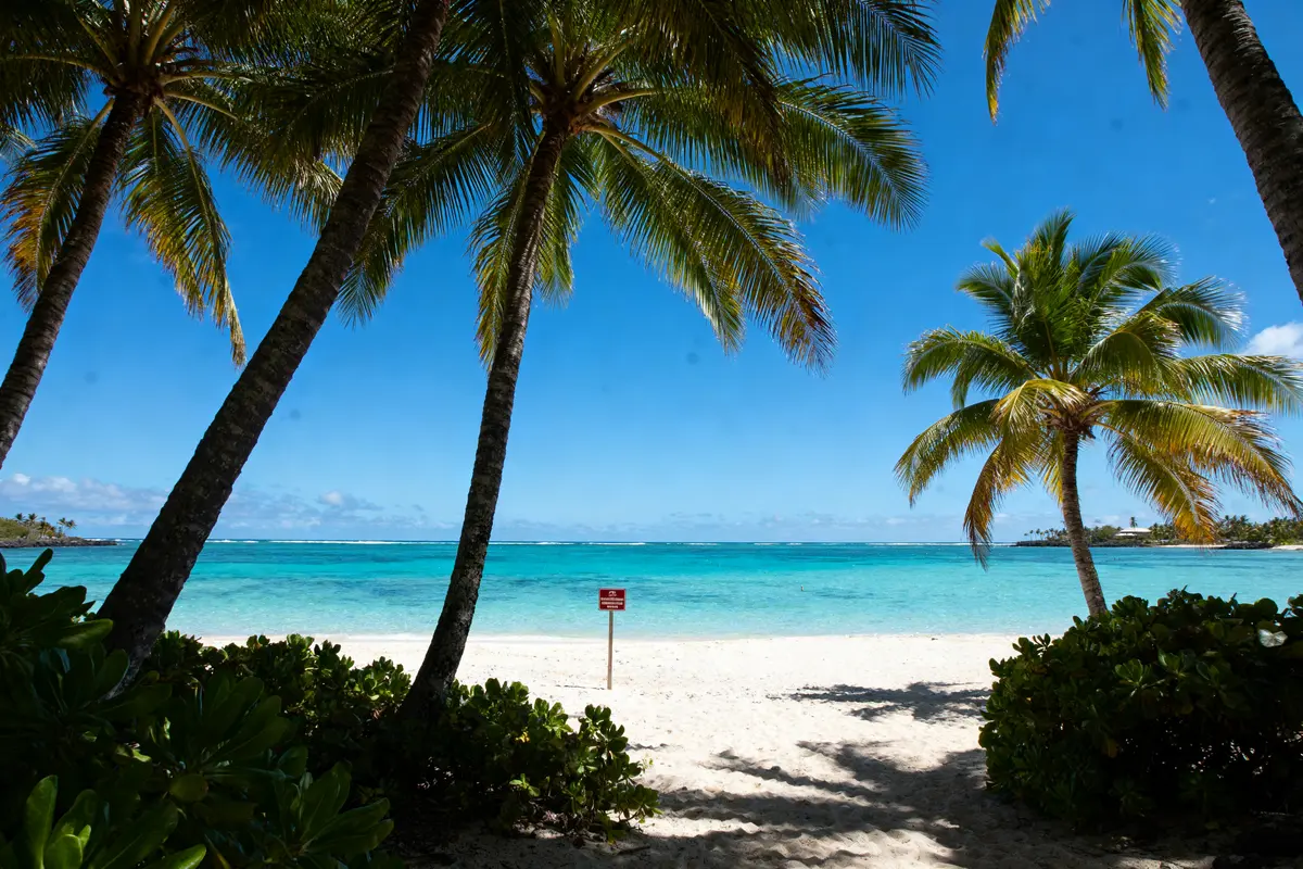 Où aller en janvier au soleil ? Top destinations pas cher