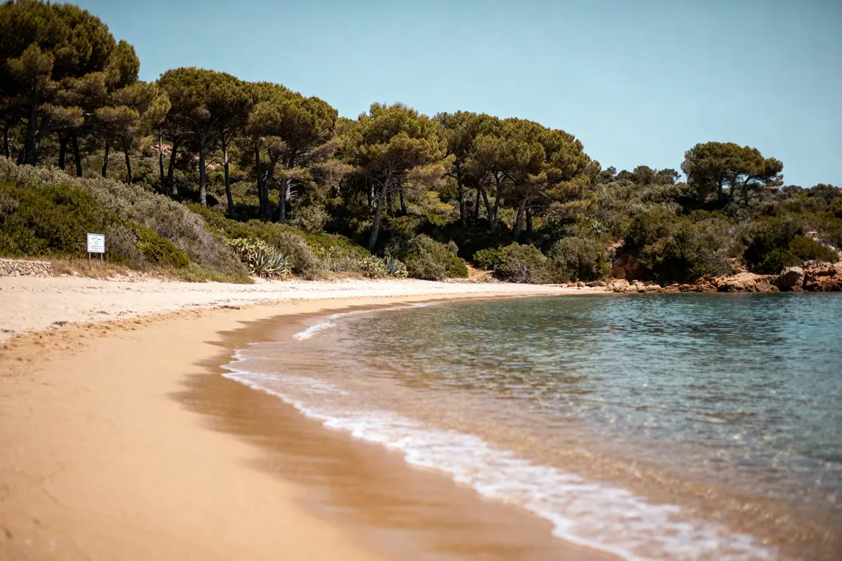 Plage de Canella bordée d'arbres et d'une mer calme à Arinella di Canella
